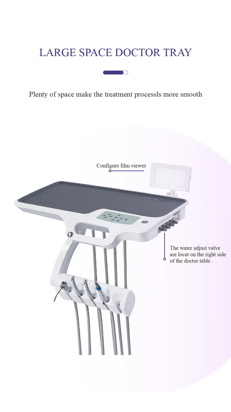 Dental Chair Spare Parts Foshan with Disinfection System